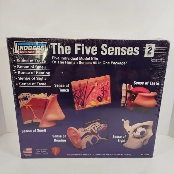 LINDBERG Science Kit The Five Senses #71315 Skill Level 2 Ages 10+ Model New - Picture 1 of 3